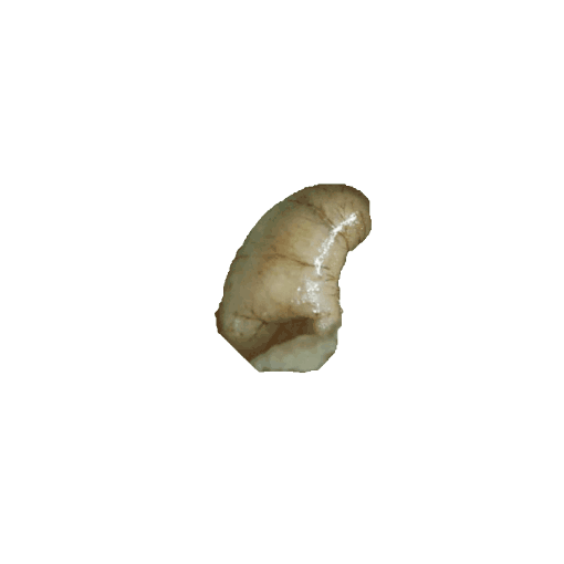 01積分得分榜🏆前50名