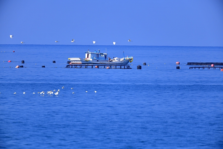 Nikon P1000與P900遠拍1.5公里、2公里、3公里實拍比較，D850插花參考。