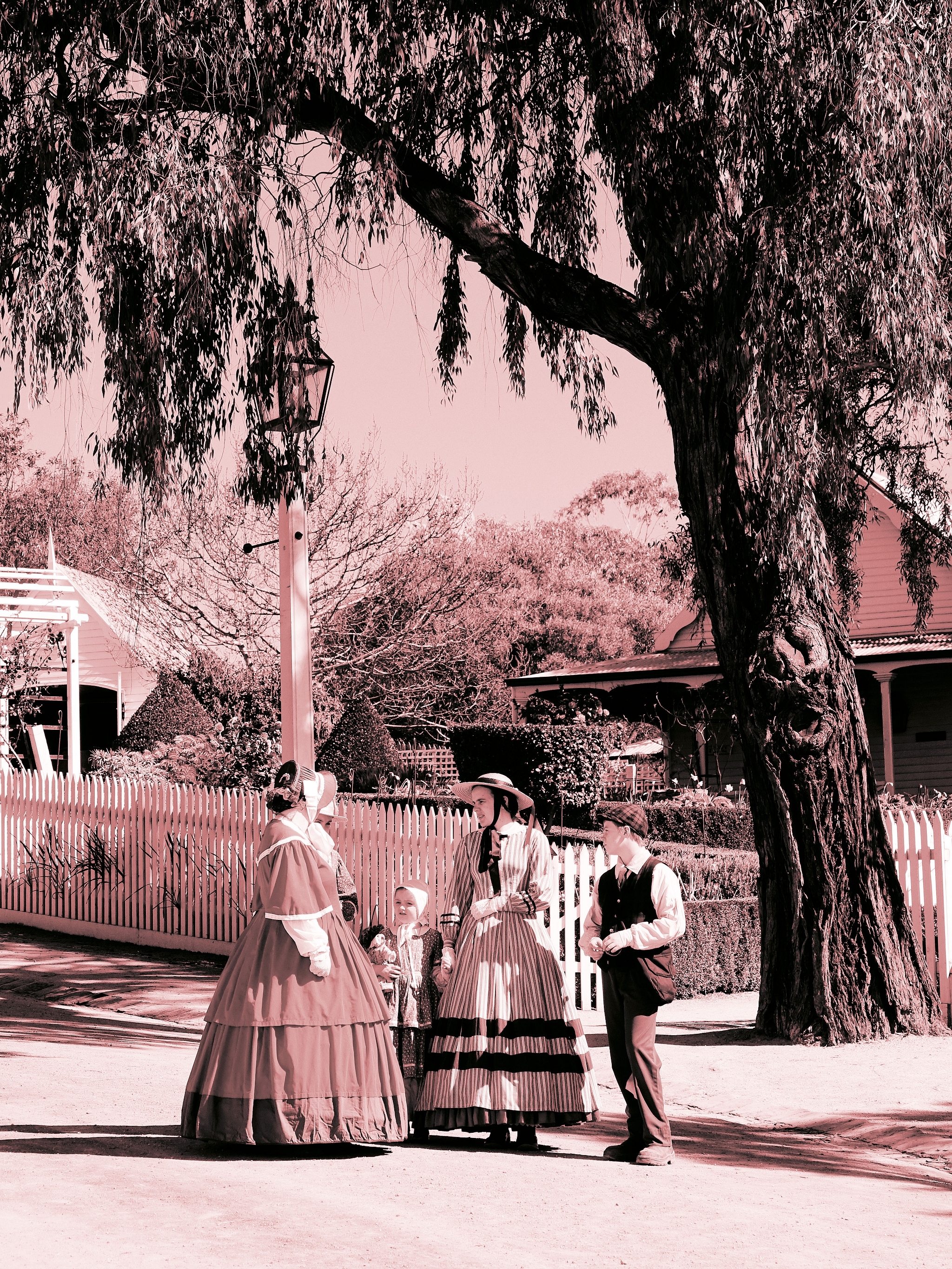 誤打誤撞RX10M3～完美的輕鬆派旅行記錄相機（2018澳洲之旅）