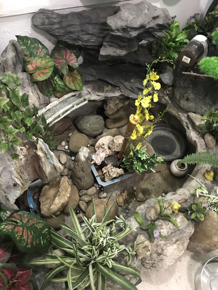 假山假水 真求助