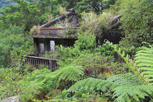 淡蘭古道之金字碑&小金瓜露頭&大粗坑古道大O之旅