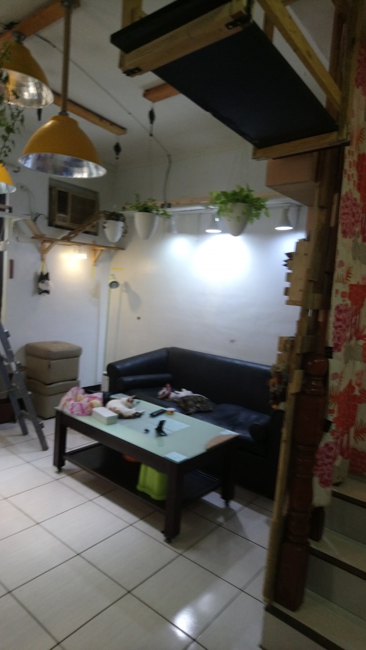 我家佈置適合開早餐店嗎