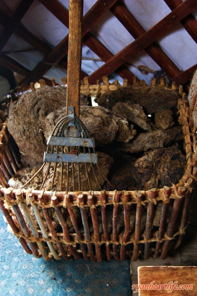 【外蒙古旅遊part1】世界最大的成吉思汗雕像、十三世紀蒙古風情園