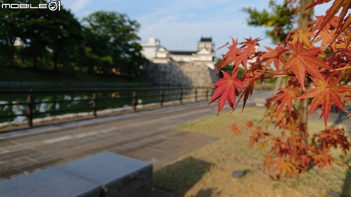 再一次帶著小比  日本旅行去(輪行12天)