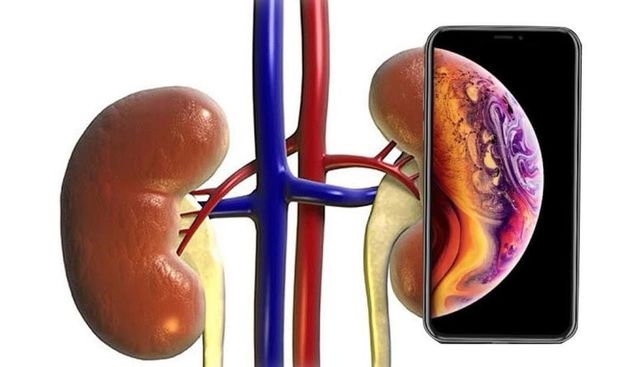 K11 Bumper i8 Plus 版手機殼裝在 iPhone XS Max 的胡亂測試心得
