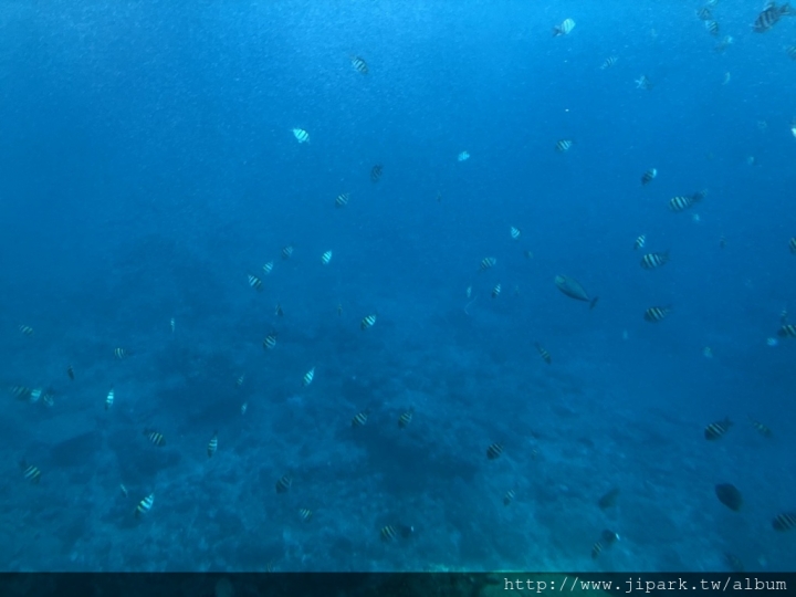 不專業介紹之綠島旅遊篇!