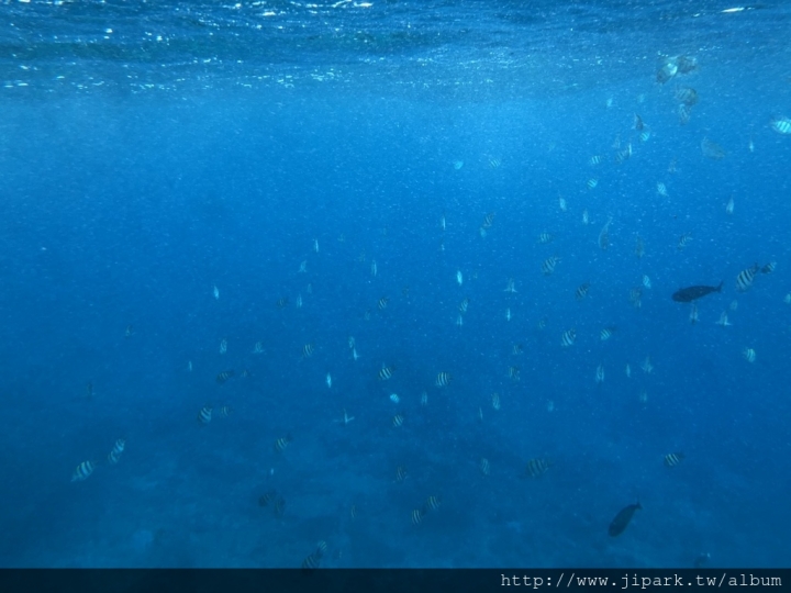 不專業介紹之綠島旅遊篇!