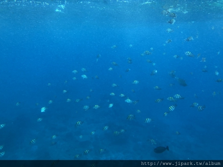 不專業介紹之綠島旅遊篇!
