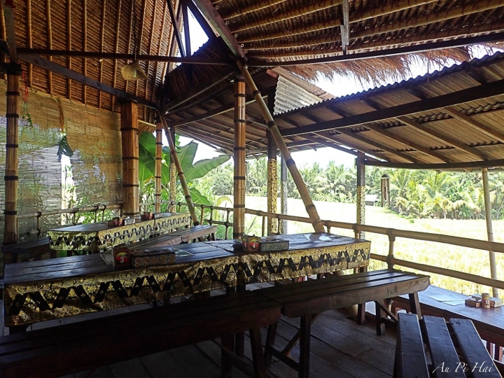 【Bali 峇里島】我不愛的麝香貓（貓屎）咖啡以及海神廟和它的魔咒準嗎？