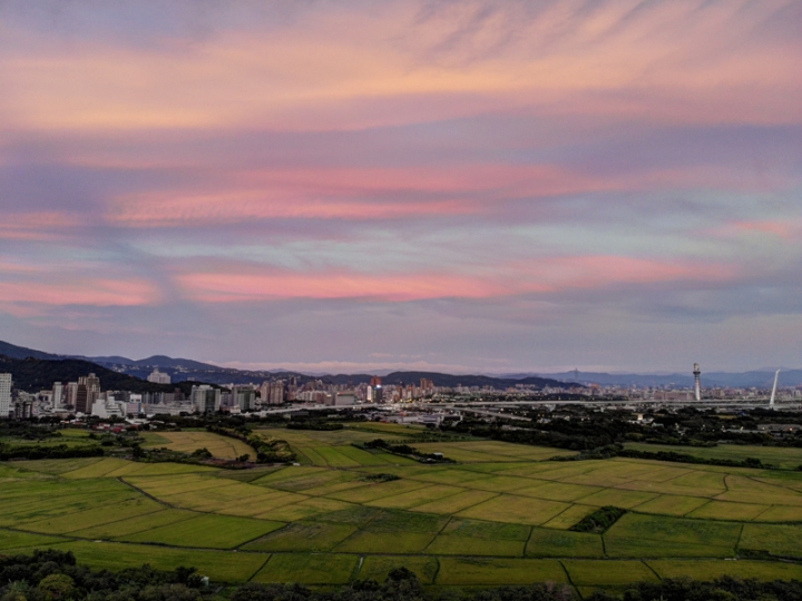 [亂拍照] 台北北投 關渡平原 稻田風光 (空拍)