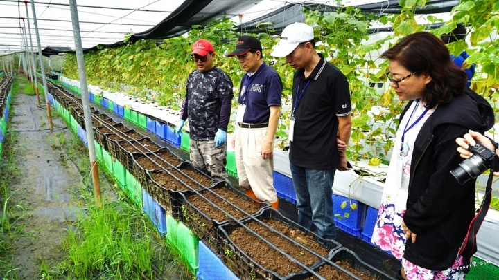 ★雲林古坑★【自家莊園】一日農夫體驗/自己的食物自己種/預約制。