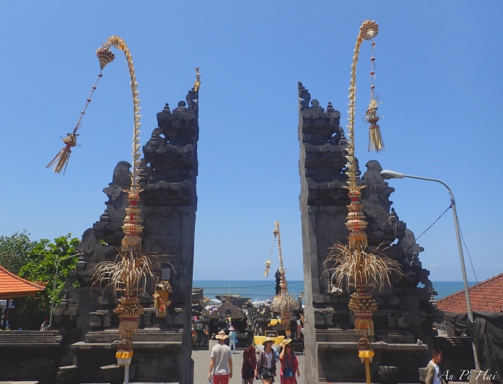 【Bali 峇里島】我不愛的麝香貓（貓屎）咖啡以及海神廟和它的魔咒準嗎？