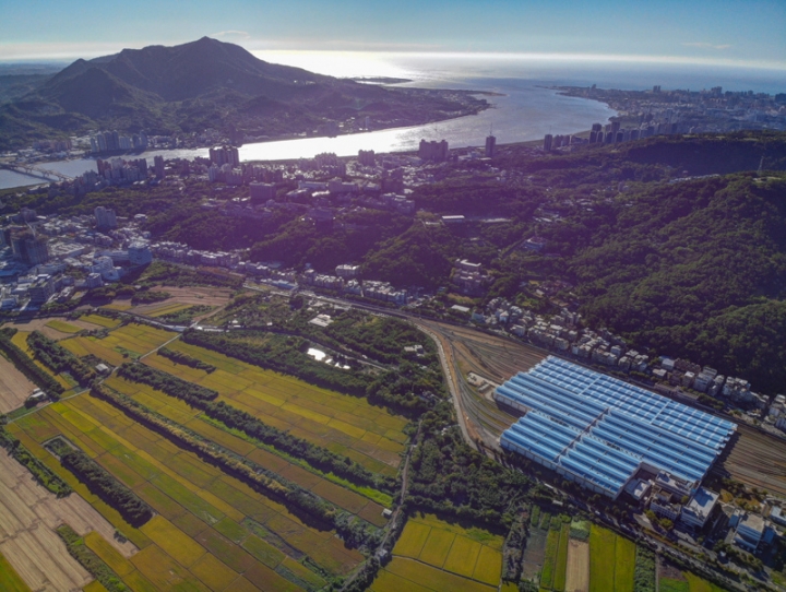 [亂拍照] 台北北投 關渡平原 稻田風光 (空拍)