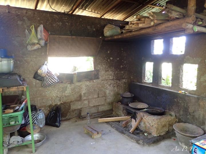 【Bali 峇里島】我不愛的麝香貓（貓屎）咖啡以及海神廟和它的魔咒準嗎？