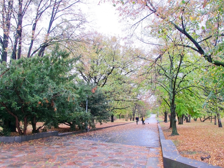 【Czech．走跳】布拉格萊特納公園節拍器、藍儂牆、跳舞房子與慕夏美術館