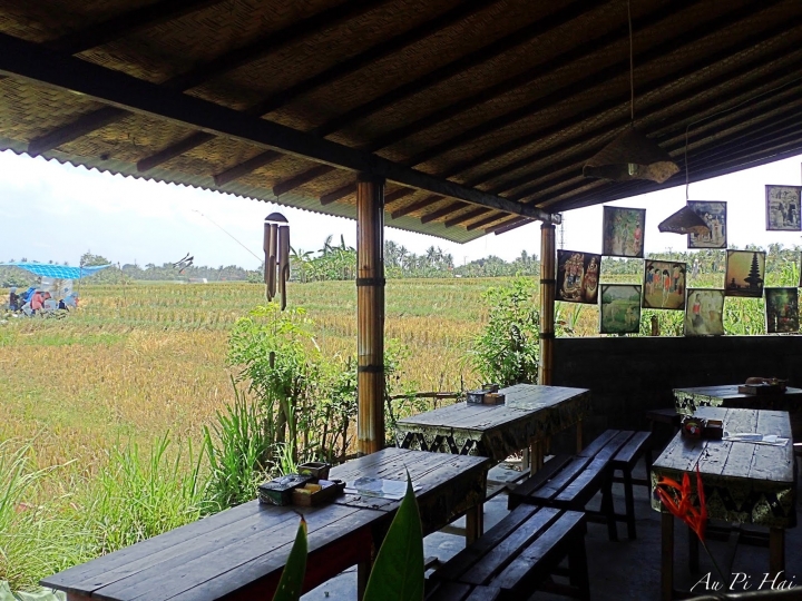 【Bali 峇里島】我不愛的麝香貓（貓屎）咖啡以及海神廟和它的魔咒準嗎？