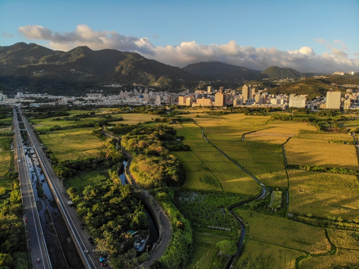 [亂拍照] 台北北投 關渡平原 稻田風光 (空拍)