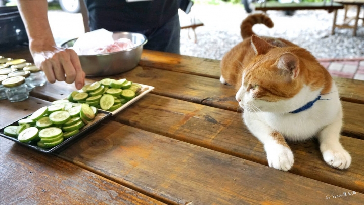 ★雲林古坑★【自家莊園】一日農夫體驗/自己的食物自己種/預約制。