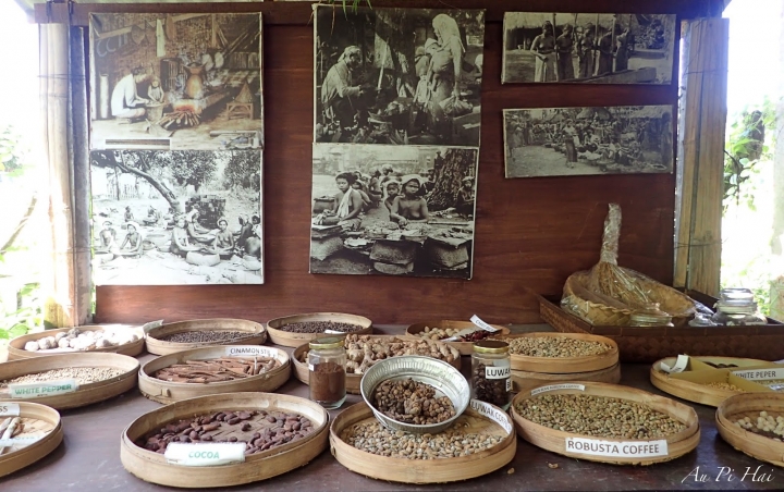 【Bali 峇里島】我不愛的麝香貓（貓屎）咖啡以及海神廟和它的魔咒準嗎？