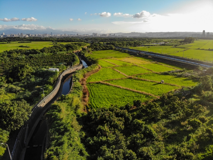 [亂拍照] 台北北投 關渡平原 稻田風光 (空拍)