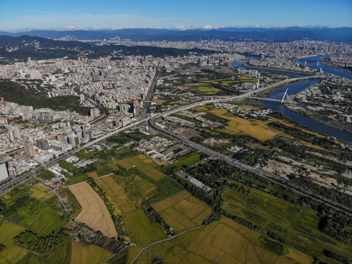 [亂拍照] 台北北投 關渡平原 稻田風光 (空拍)