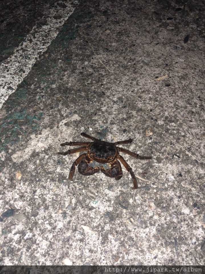 不專業介紹之綠島旅遊篇!