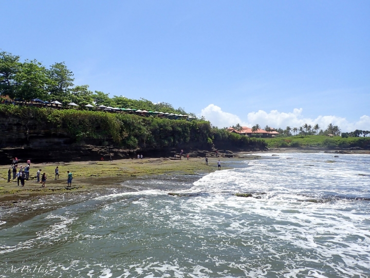 【Bali 峇里島】我不愛的麝香貓（貓屎）咖啡以及海神廟和它的魔咒準嗎？