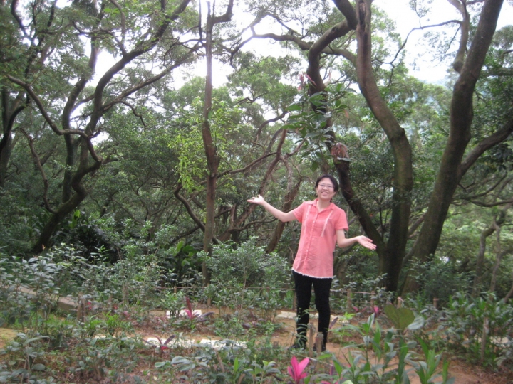 【遊記】象山爬一爬