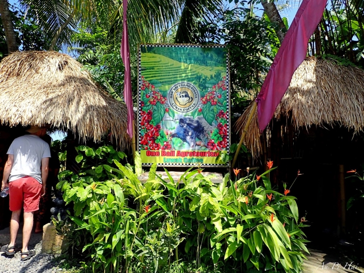 【Bali 峇里島】我不愛的麝香貓（貓屎）咖啡以及海神廟和它的魔咒準嗎？