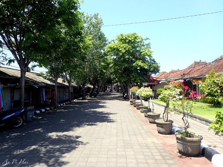 【Bali 峇里島】我不愛的麝香貓（貓屎）咖啡以及海神廟和它的魔咒準嗎？