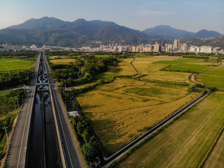 [亂拍照] 台北北投 關渡平原 稻田風光 (空拍)