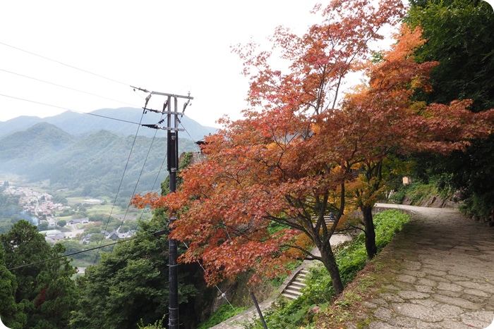 ▋日本山形 ▋千階登頂斬煩念，心經抄寫淨塵台。日本山形能量之旅，寶珠山立石寺