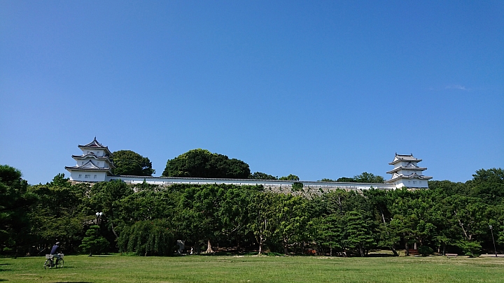 再一次帶著小比  日本旅行去(輪行12天)