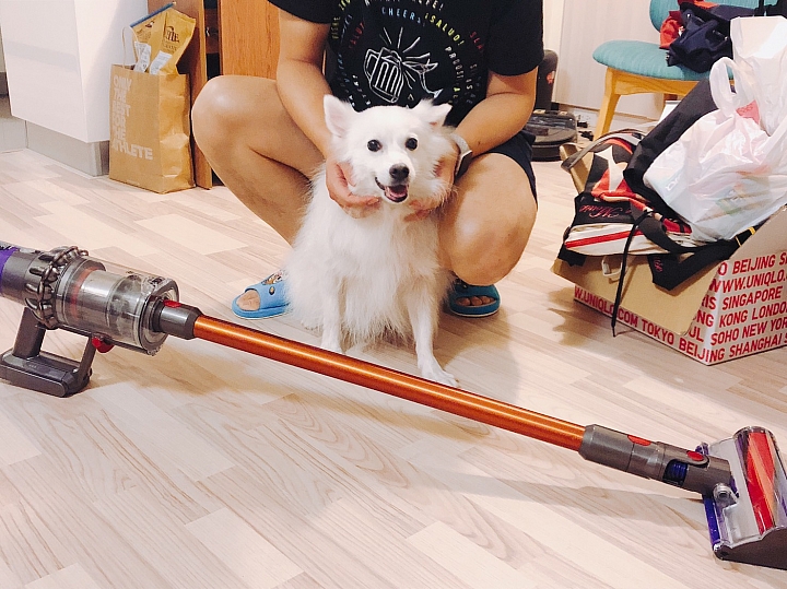 【體驗活動文】用Dyson V10愛屋及烏~愛我的家也愛"牠"~
