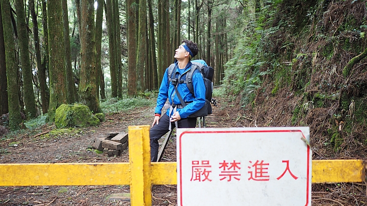 點我看大圖 阿里山眠月線最適合滿足探險慾望的夢幻路線