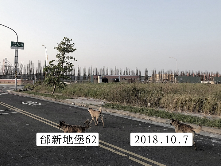 九份子重劃區狗年10月7日建築實景全記錄