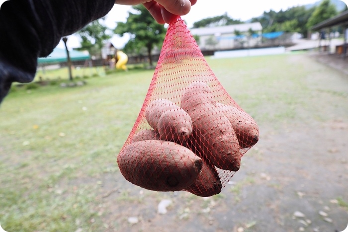 ▋金山好好玩 ▋獅頭望燭臺，控窯嚐地瓜，體驗特殊"蝙蝠”農場，再去泡湯吃好料。金山眾多特色景點，三天都玩不完！！！