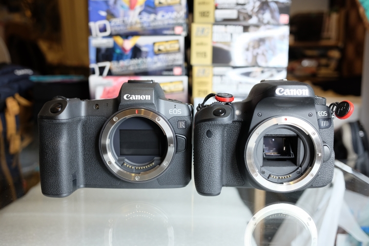 CANON EOS R 超簡單開箱!! (圖