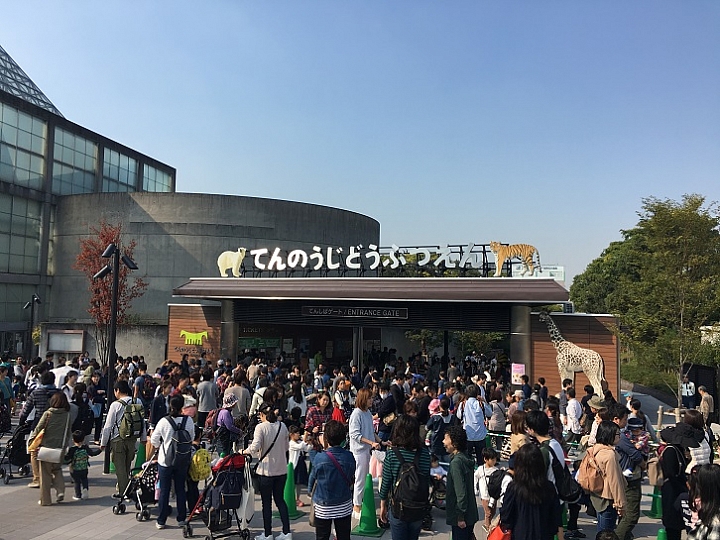 【大阪府】小朋友喜愛的明星動物們這裡通通有－天王寺動物園