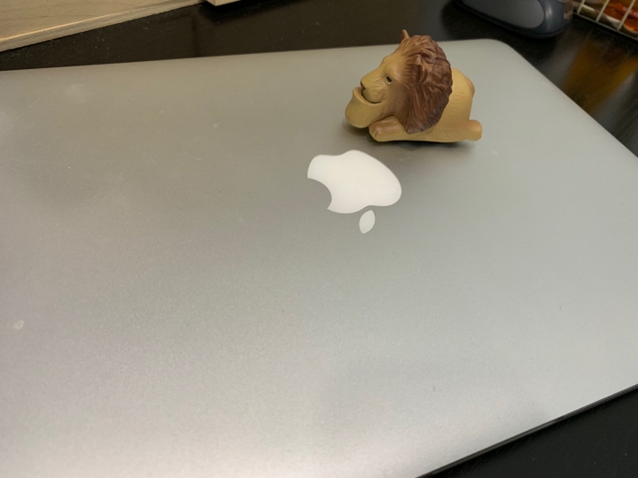 IPHONE XS MAX 微開箱