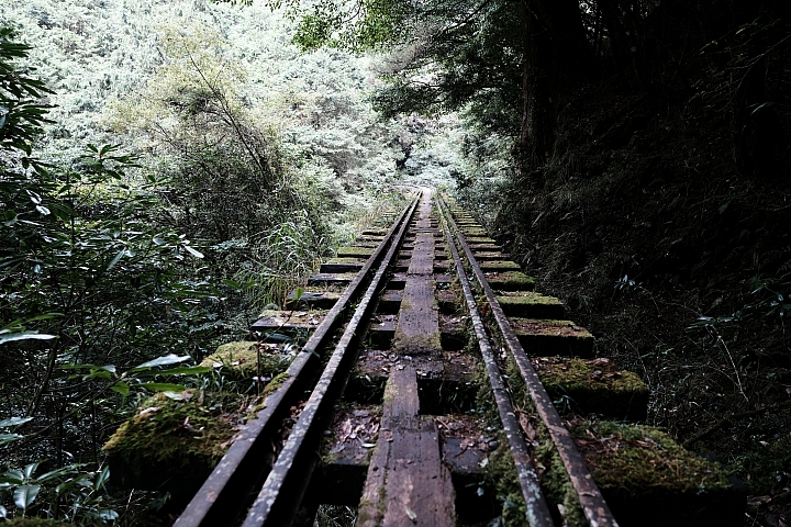 點我看大圖 阿里山眠月線最適合滿足探險慾望的夢幻路線