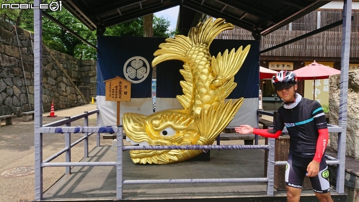 再一次帶著小比  日本旅行去(輪行12天)