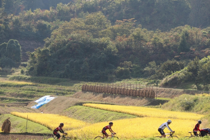 山形秋之旅