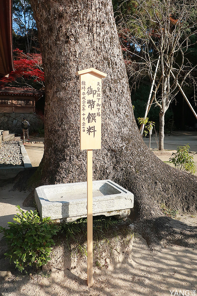 【福岡】寶滿宮竈門神社,賞紅葉求良緣一次搞定