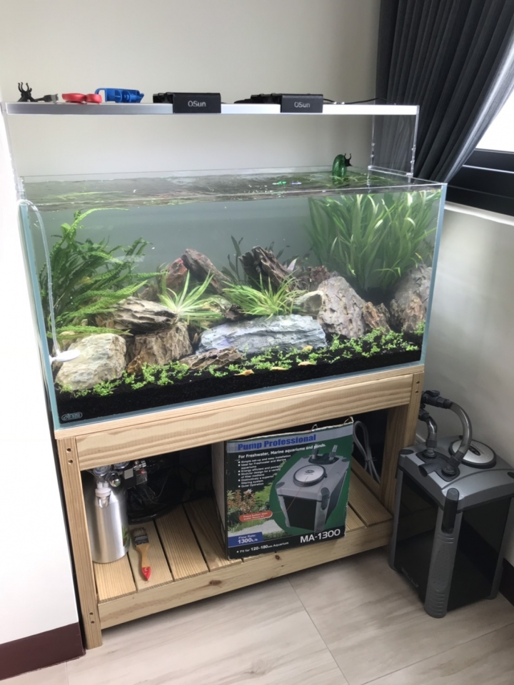 翻修38年老公寓，沒錢請設計師就是要自己搞