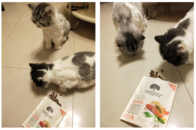 台北寵物展新飼料-澳維康
