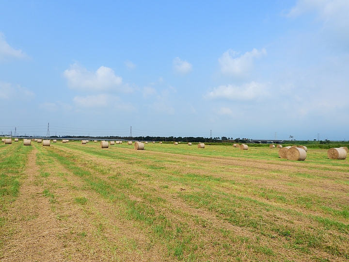 Nikon P1000一日遊，從霧台到南州，到林園深秋芒，迎接鳗魚苗返鄉的豐收。