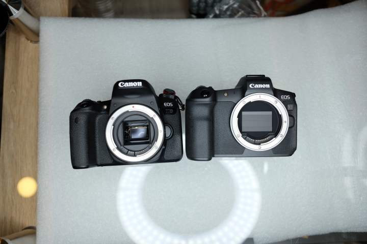 CANON EOS R 超簡單開箱!! (圖