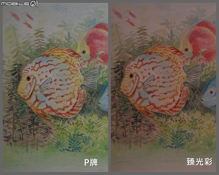 換個色溫換個情境，臻光彩小太陽LED觸控檯燈，找到我要的光