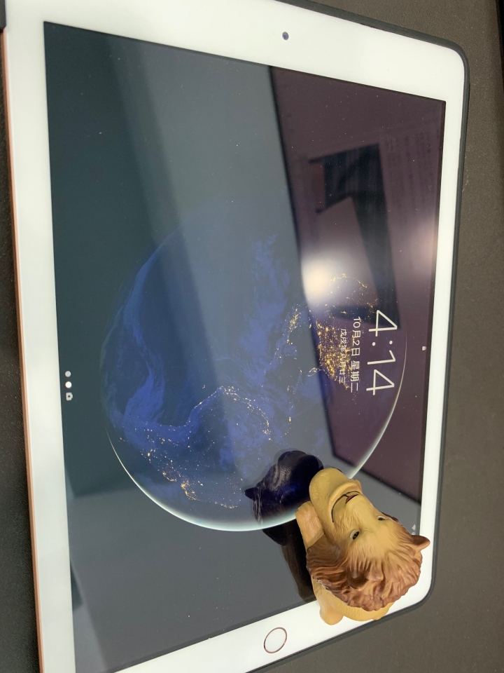 IPHONE XS MAX 微開箱
